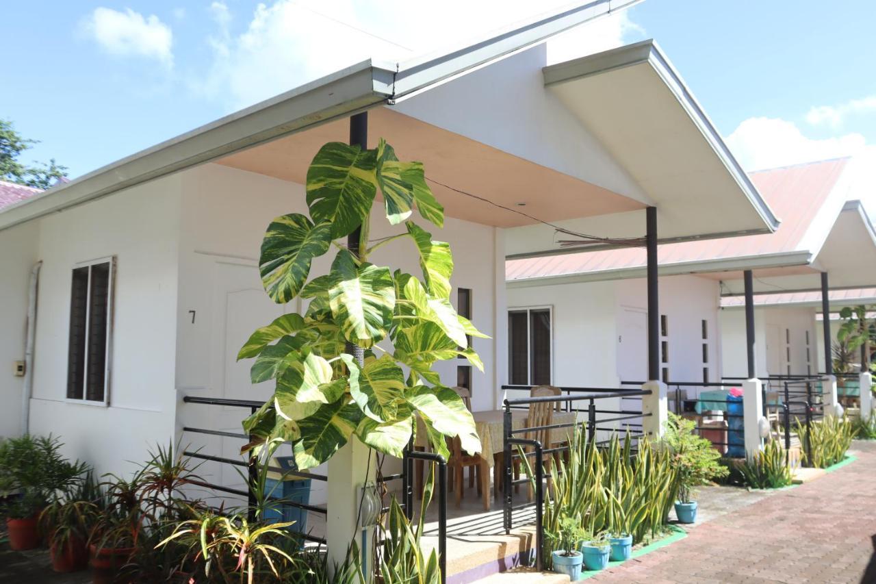 Ice Bear Bar & Tourist Inn Dauis